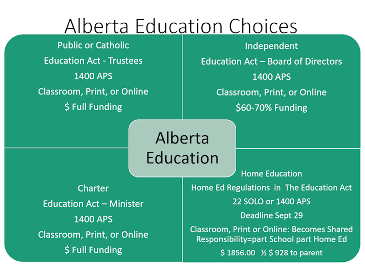 education consulting